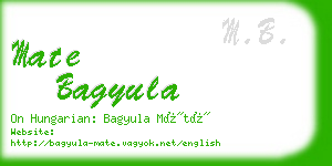 mate bagyula business card